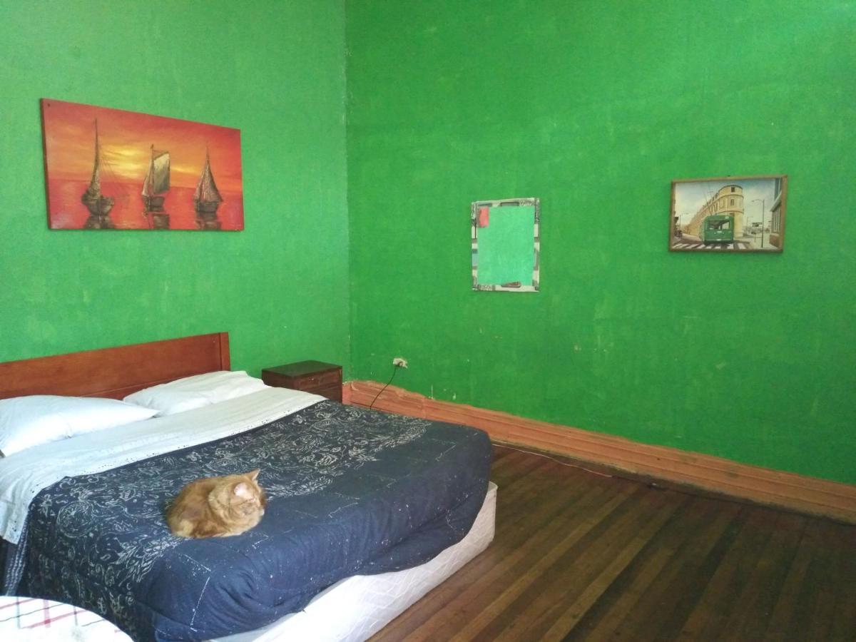 Hostal Del Gato Valparaíso Dış mekan fotoğraf